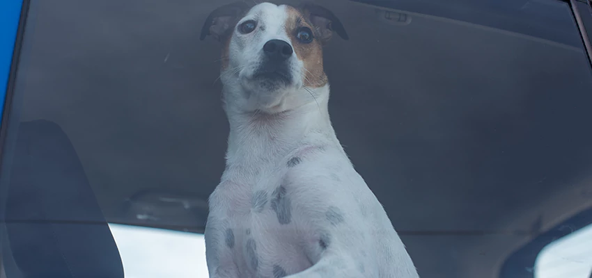 Car Lockout Solutions in Torrance, California